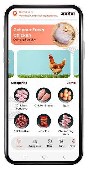 Mobile App Interface